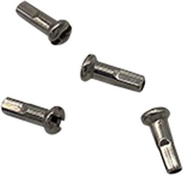 Actual product image Babboe Standard