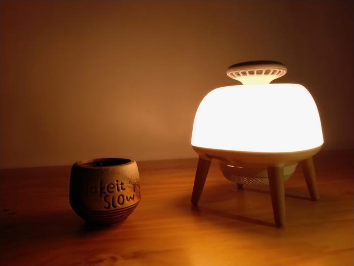 Actual product image Stylies Reva