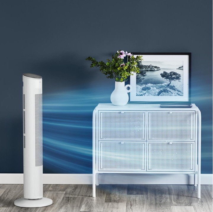 Actual product image Rowenta Eole Ultra VU6871F0 (52 dB)