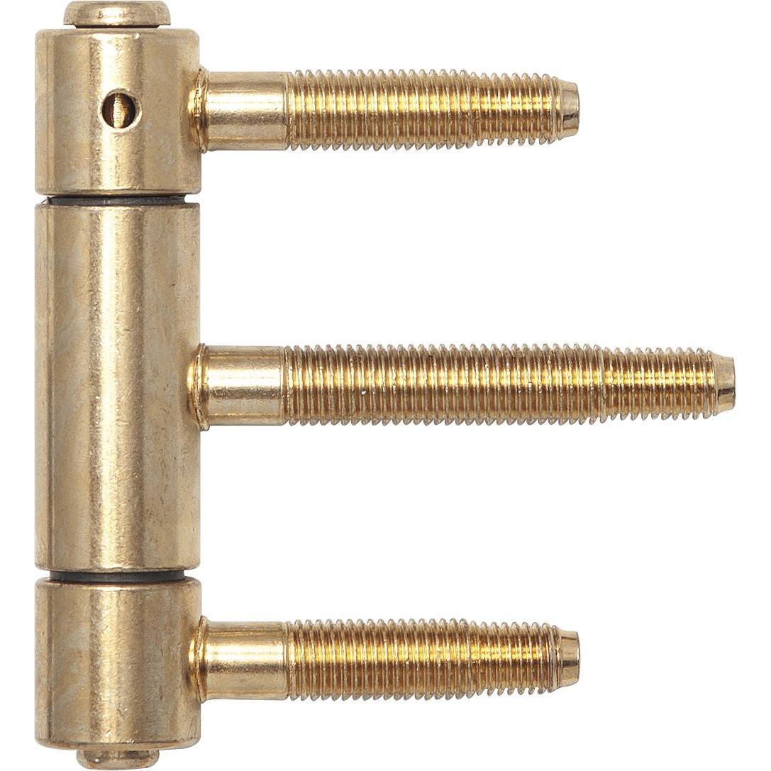 SFS, Türbeschlag + Scharnier, Herkula-Band 3-teilig, mit Aushängesicherung, ø 20 mm, Stahl vermessingt