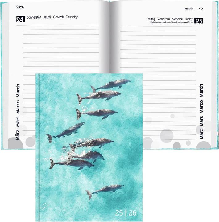 Immagine prodotto Biella Mydiary (12 x 16,5 cm, Tedesco, Italiano, Francese, Inglese)