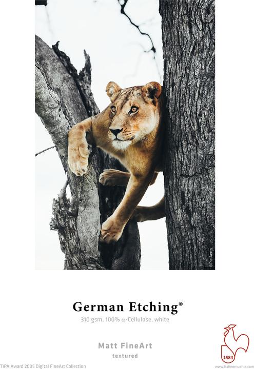 Immagine prodotto Hahnemühle Acquaforte tedesca 61 cm x 12 m, 310 g (Rotoli Plotter)