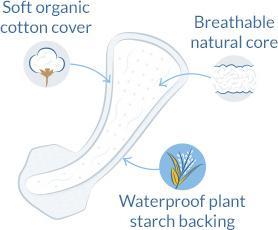 Actual product image Natracare Panty Liners (30 x)