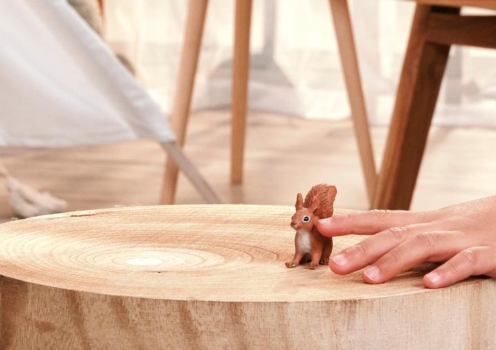 Actual product image Schleich Eichhörnchen