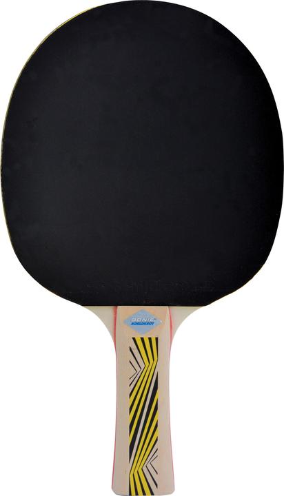 Productafbeelding Donic Schildkröt Legends 500 Tafeltennisbatje