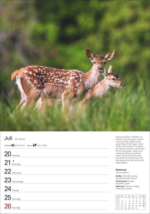 Produktbild Harenberg Heimische Tiere Wochenplaner 2026 - 53 faszinierende Fotografien