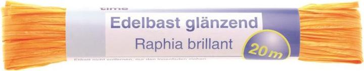 Image du produit Glorex Raphia brillant 20m maïs