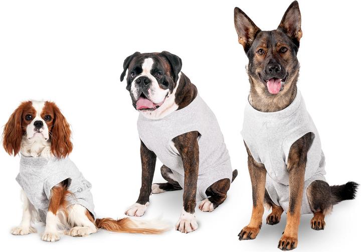 Produktbild Karlie Safety Body für Hunde, grau (36, Hundeoverall)