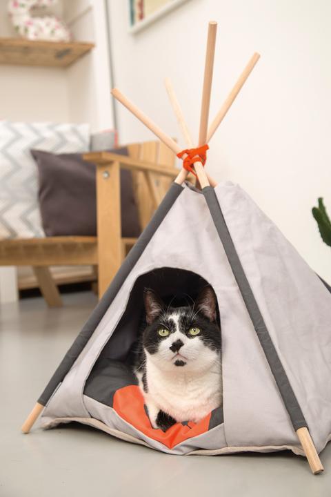 Image du produit Beeztees Tipi Tent (Chat)