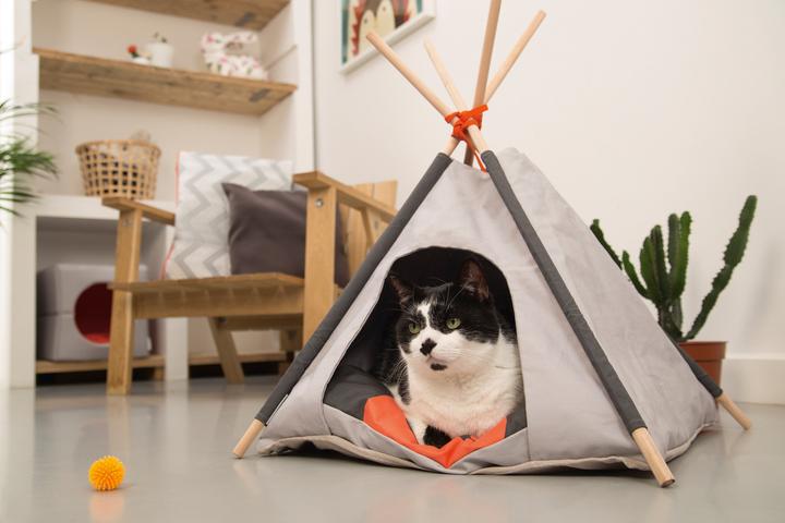 Image du produit Beeztees Tipi Tent (Chat)