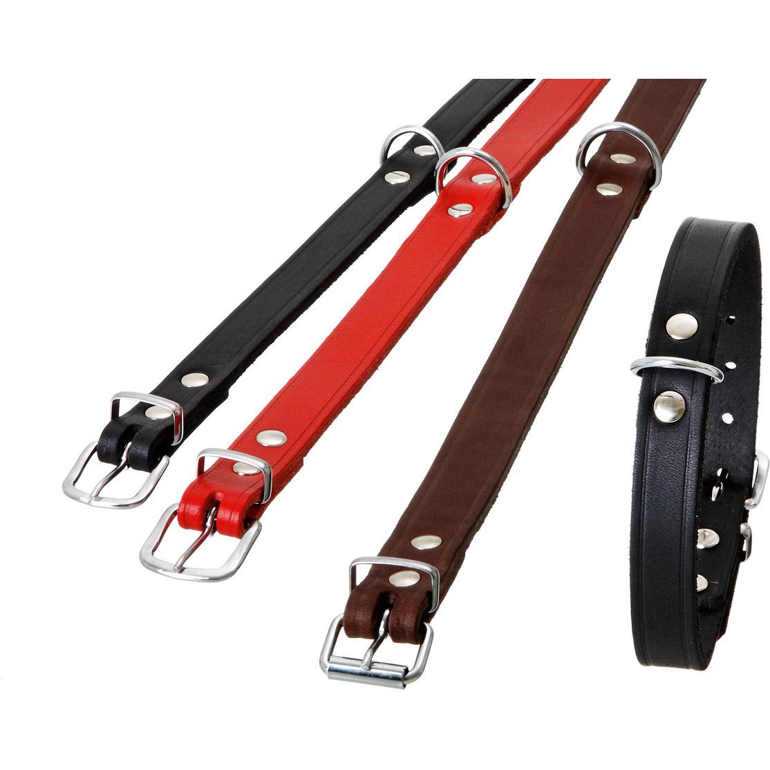 Thumbnail - Karlie Halsband Rondo, genietet (S, M, Hund, Spazieren), Halsband + Leine