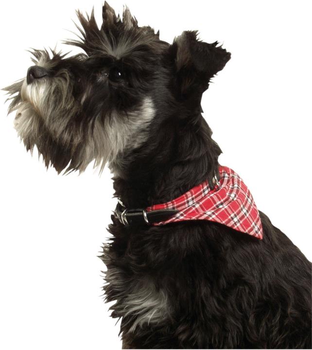 Image du produit Karlie Rondo du col avec foulard (S, Chien, Sport canin)