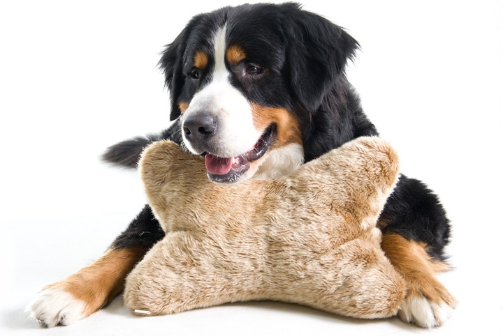 Actual product image Karlie Tip Top Pillow (Dog)