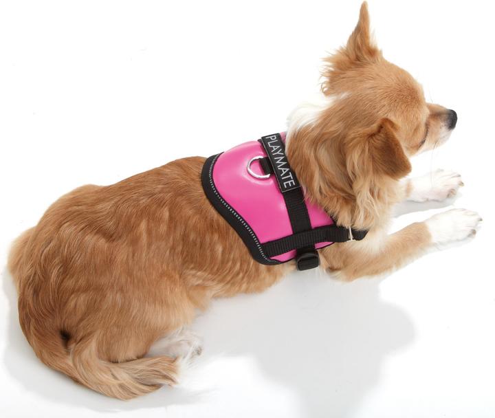 Produktbild Karlie Teeny Weeny Geschirr (S, Hund, Allgemein)