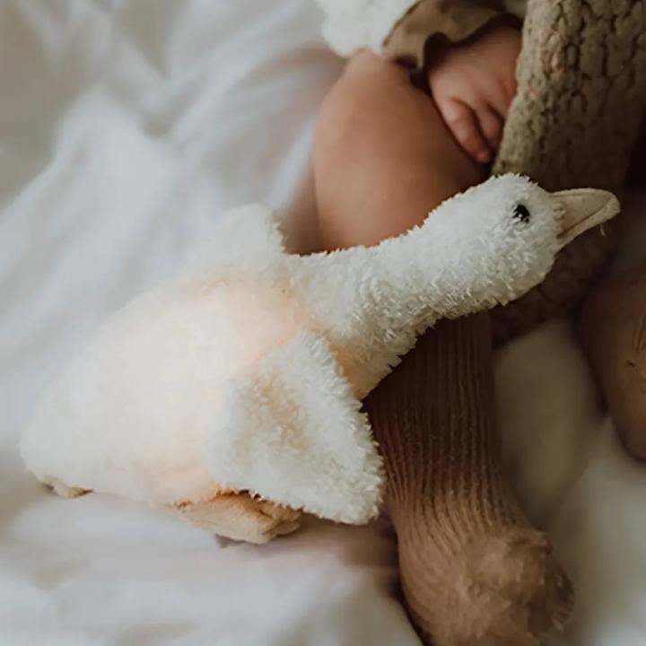 Image du produit Flow Amsterdam Liva