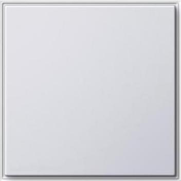 Actual product image Gira Blind cover