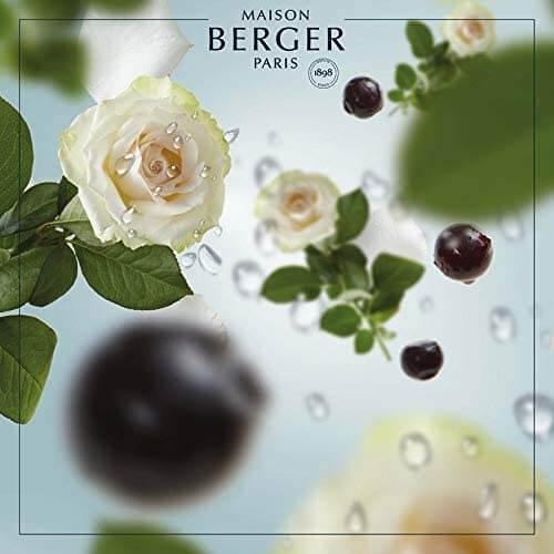 Produktbild Maison Berger Duftlampe Refill Vent d'Océan (500 ml)