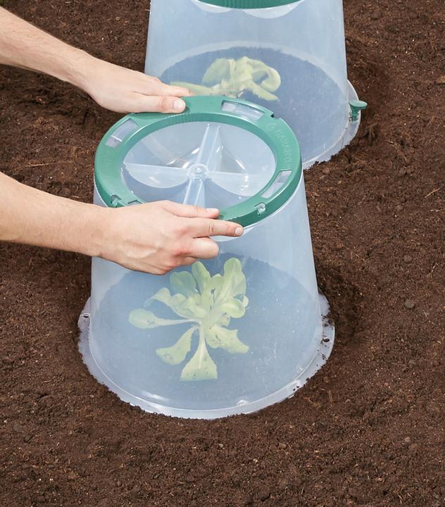 Image du produit Garantia Sunny