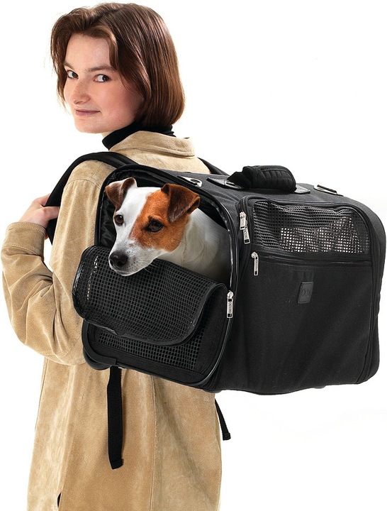 Actual product image Karlie Carrying bag Smart Trolley (Dog, Breathable)
