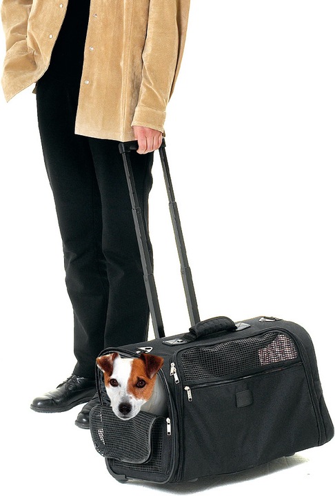 Actual product image Karlie Carrying bag Smart Trolley (Dog, Breathable)