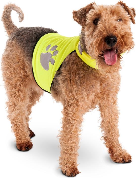 Actual product image Karlie Night Walk (M, Dog vest)