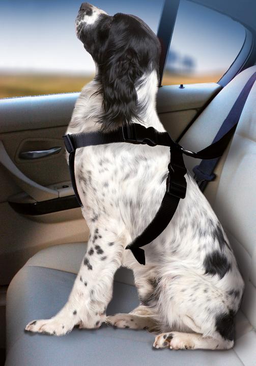 Produktbild Karlie Auto-Hundegeschirr (Hund, Abschliessbar, Faltbar)