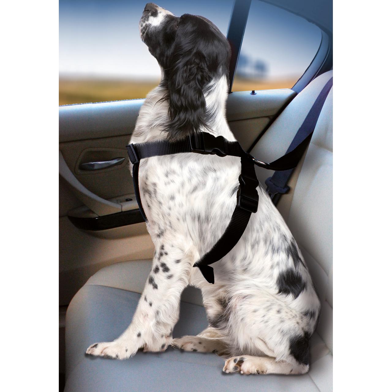 Meilleurs prix pour Karlie Harnais pour chien de voiture (Chien, Pliable, Verrouillable), Transport d'animaux