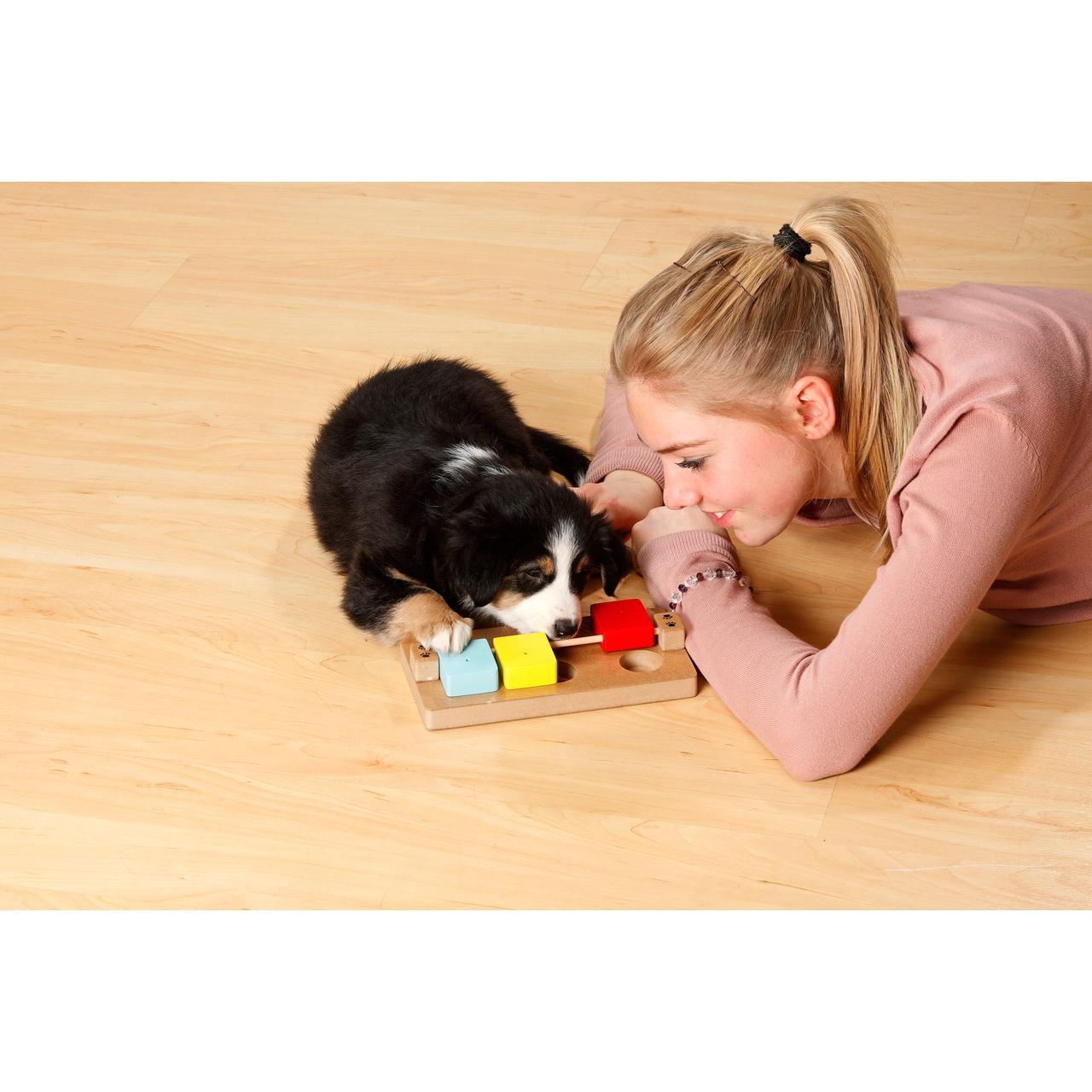 Thumbnail - Karlie Doggy Brain Train Rocky (Beschäftigungsspielzeug), Hundespielzeug