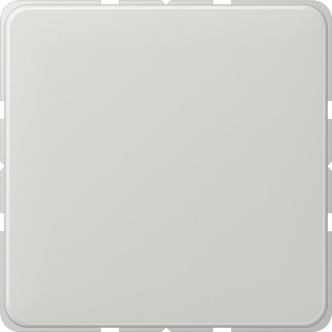 Actual product image JUNG CD594-0LG Blind cover