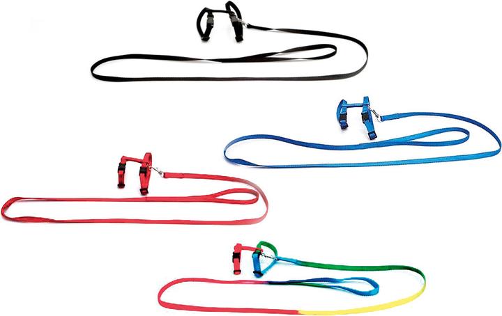 Actual product image Karlie Art Sportiv Plus Rabbit Harness and Leash (One size, Rodents, Walks)