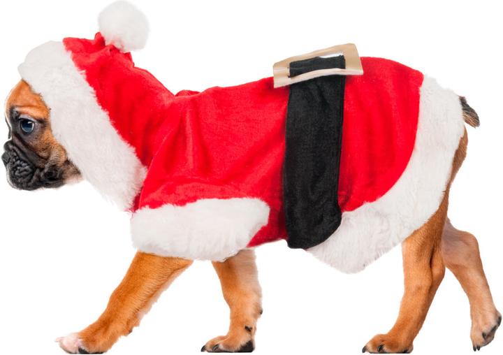 Actual product image Karlie Christmas costume (20, Dog coat)