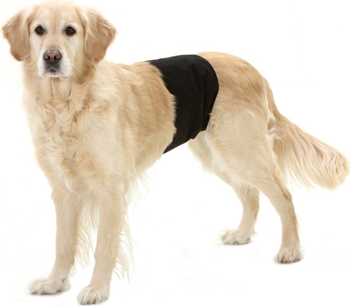 Actual product image Karlie Gentleman Wraps Plus (Dog)