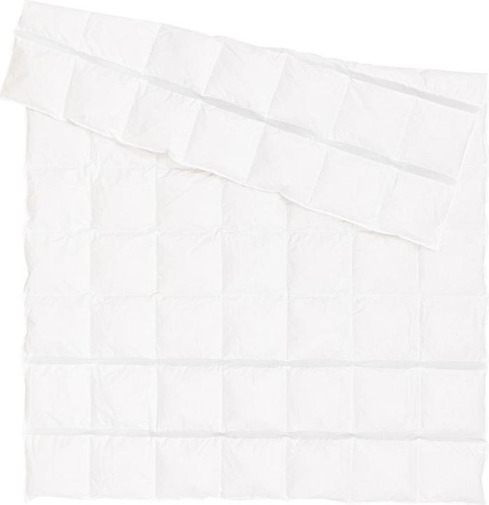 Actual product image Johann Jakob Luna-Breeze (740 g, 240 x 240 cm)