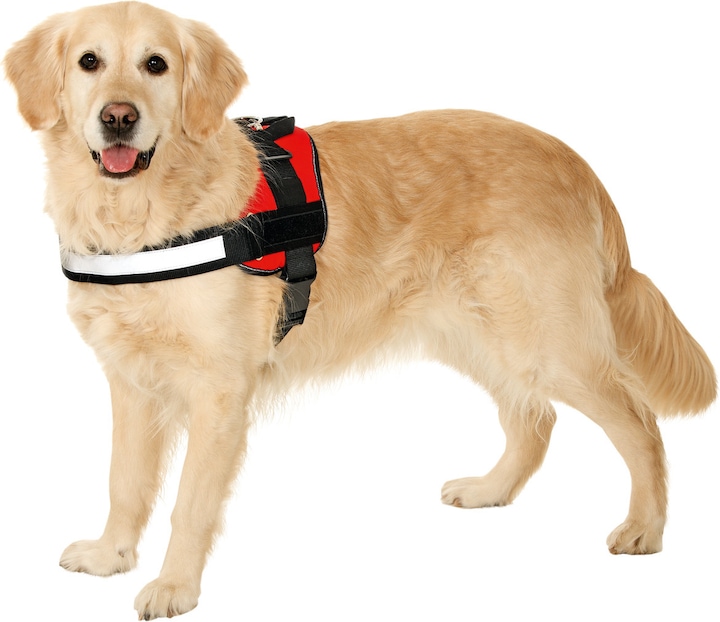Produktbild Karlie Xtreme No Limit Geschirr (XS, Hund, Spazieren)