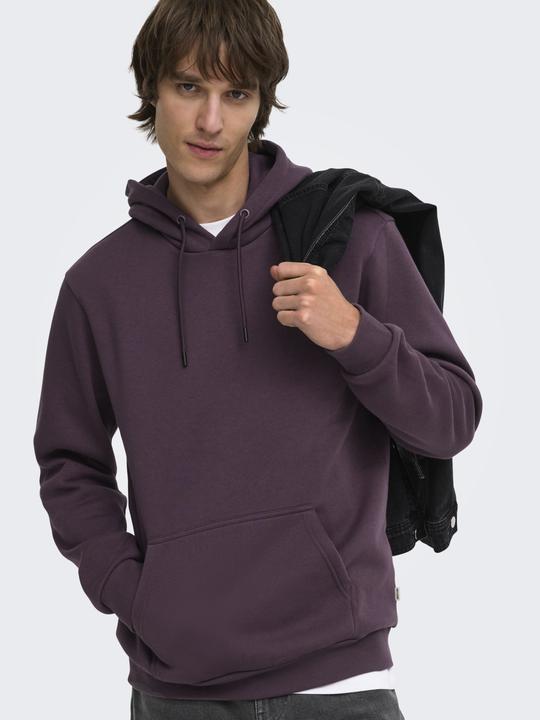 Image du produit Only & Sons Onsceres Hoodie Sweat Noos (XS)