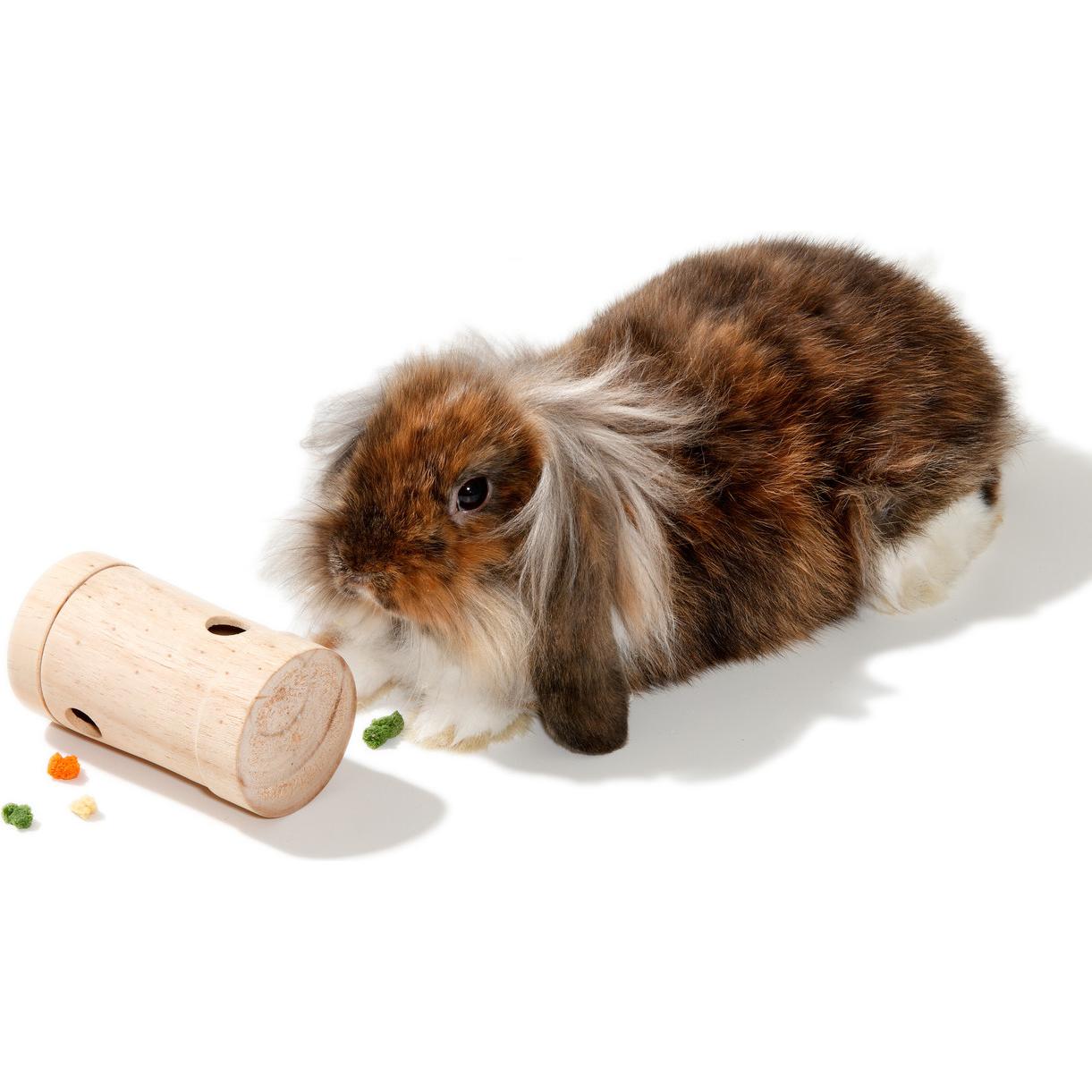 Karlie Rody, Kleintierstalleinrichtung