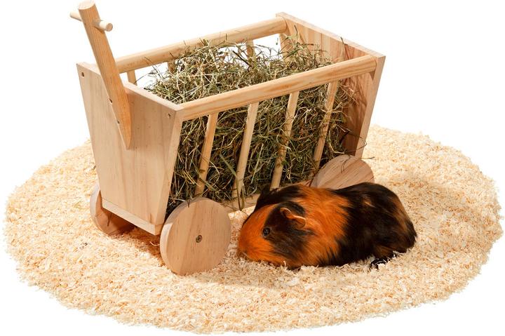 Immagine prodotto Karlie Portafieno Bollwagen Carro