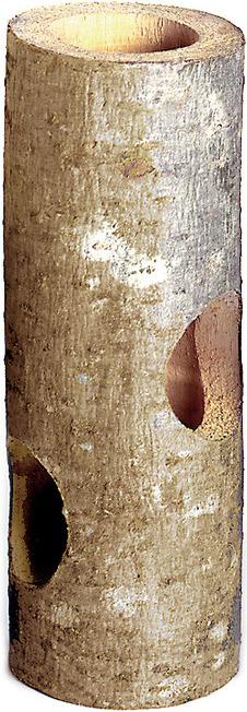 Karlie Tunnel del paese delle meraviglie