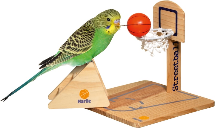 Actual product image Karlie Streetball