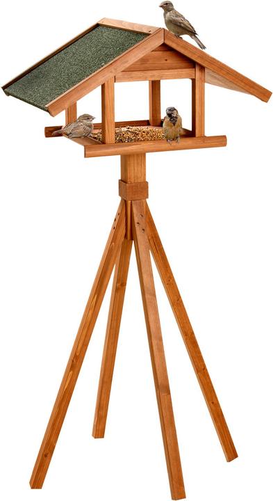 Karlie Bird's World Wild Birdhouse Remo