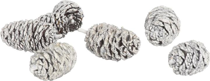 Image du produit Cocon Décoration de Noël Cône d'aulne, Blanc