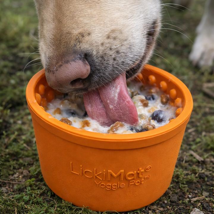 Produktbild LickiMat Yoggie Pot