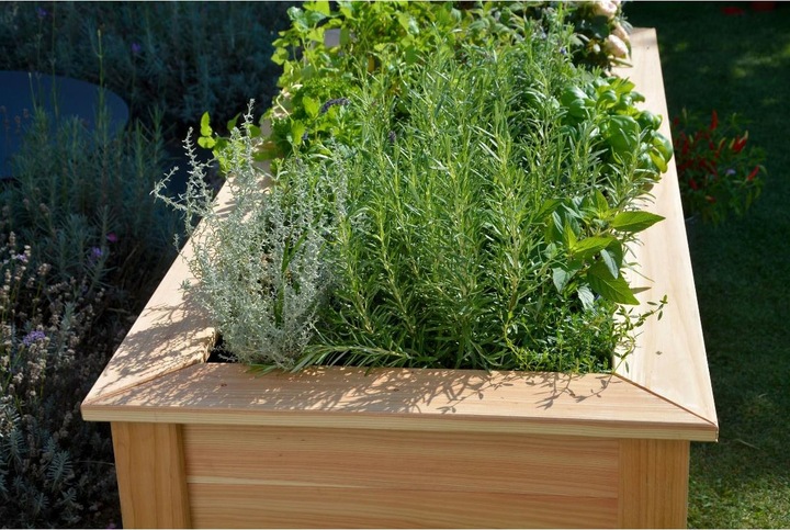 Actual product image Dobar Douglas fir