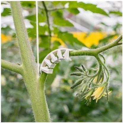 GVZ Stützbügel OptiFlex für Tomaten, transparent