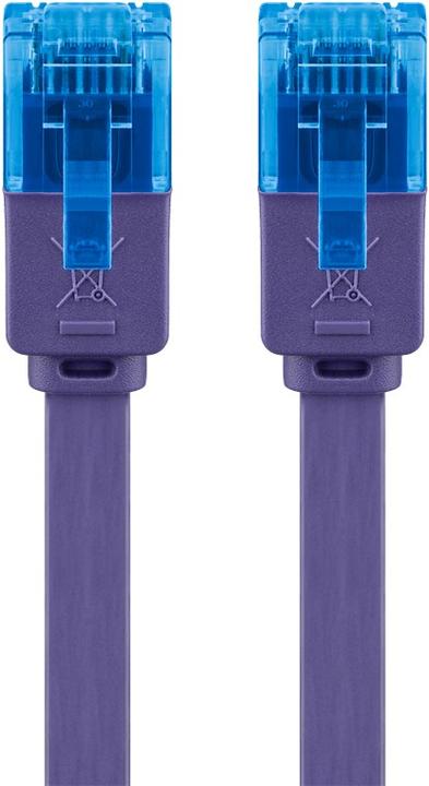 Produktbild Goobay Patch-Kabel (U/UTP, CAT6a, 0.50 m)