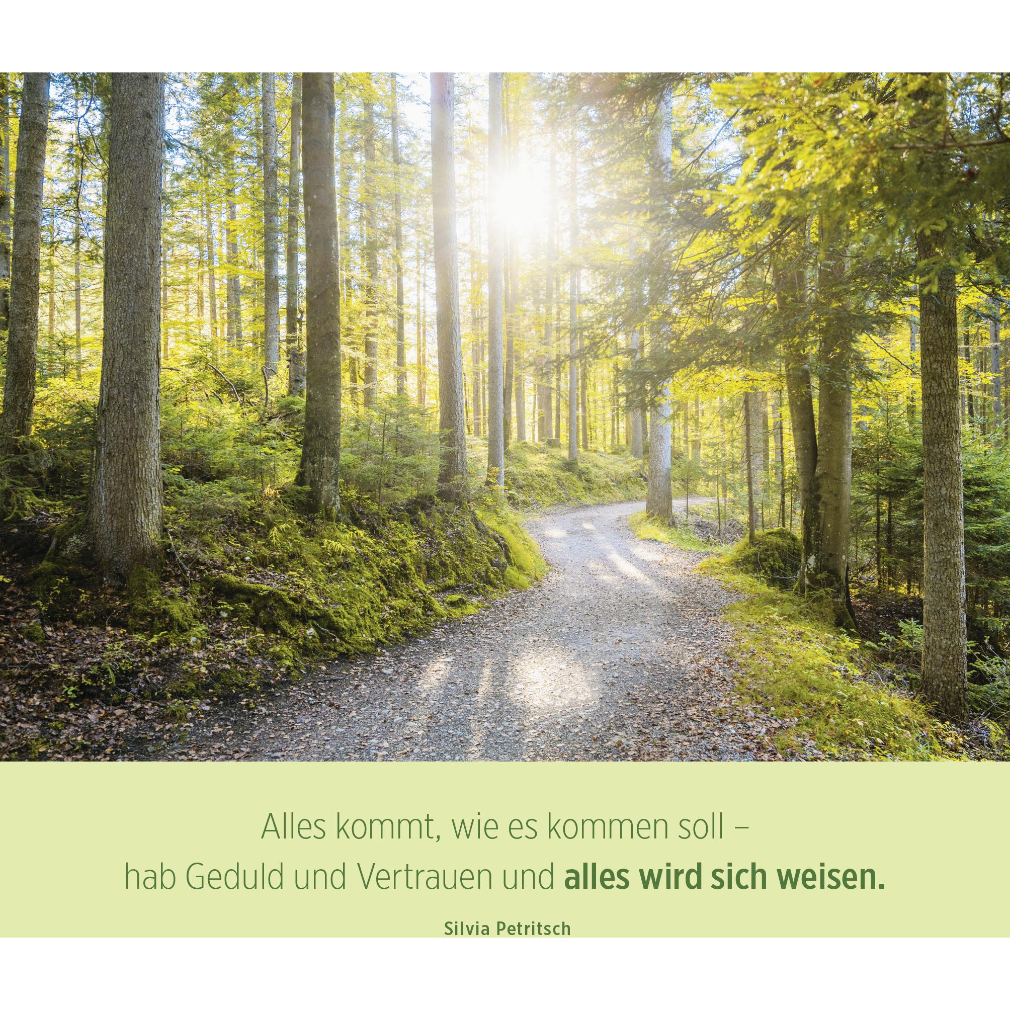 Thumbnail - Besinnung im Alltag, Ratgeber von Groh Verlag