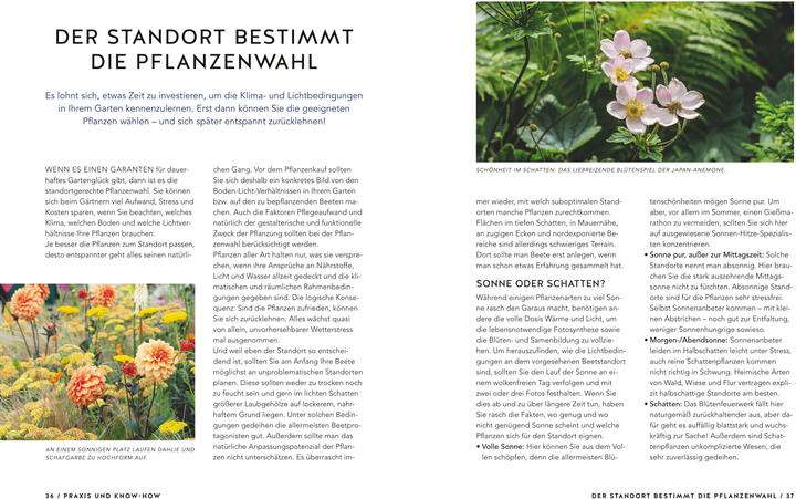 Actual product image Schöne Beete für Faule (German, Lars Weigelt, 2019)