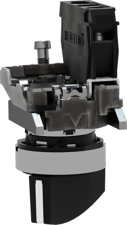 Produktbild Schneider Electric Wahlschalter XB4BJ21