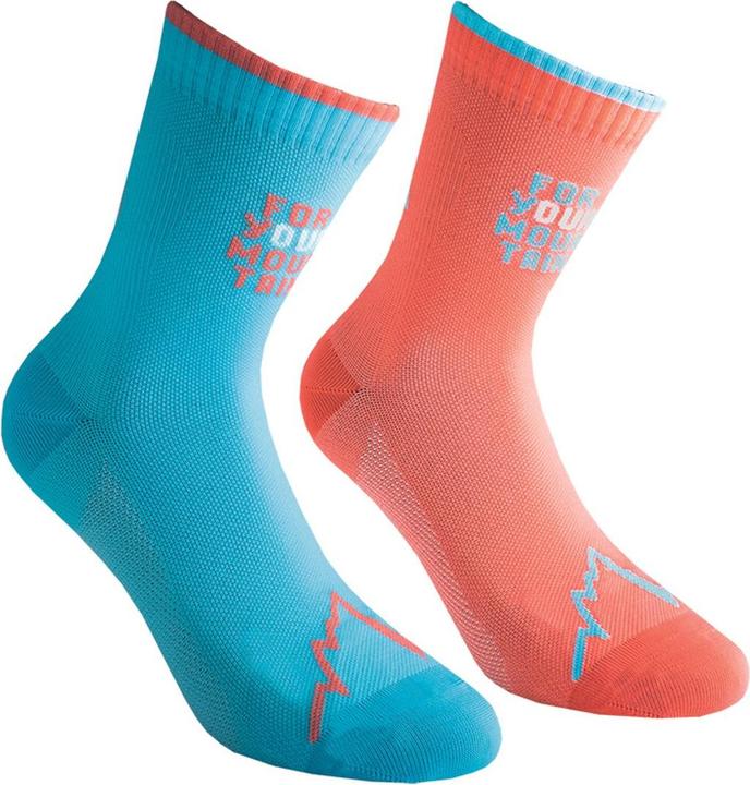 Hibiscus, malibu blue