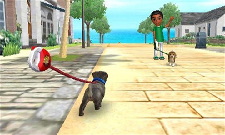 Immagine prodotto Nintendo Nintendogs Cats: Barboncino in miniatura (3DS, DE)